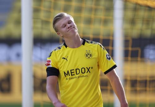 世界冠军 世界冠军